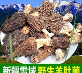 內(nèi)江蔬菜種植產(chǎn)業(yè)與食用菌菌種進(jìn)出口市場的并行發(fā)展