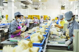 通州借勢(shì)打造食用菌產(chǎn)業(yè)帶，構(gòu)筑菌種進(jìn)出口新高地